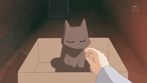 http://i.giphy.com/l2R05KYbshk04bJAI.gif