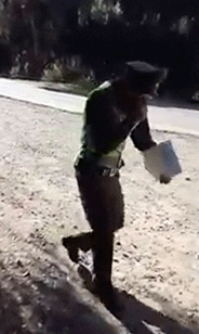 l2Sqcv4LxaSGgh9tu.gif