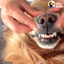 l3vRlAm9nGWVni3zW.gif