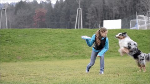 http://i.giphy.com/l41m6jGwZMtPBsKVG.gif