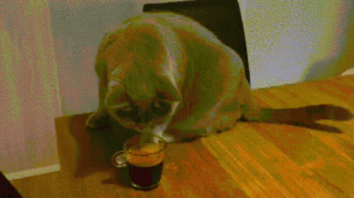 l4FGqzY5Gjzso8E9O.gif