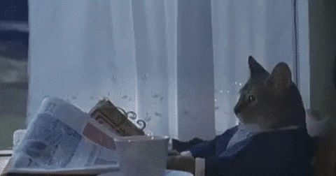 http://i.giphy.com/lQdenZkp2d5MQ.gif