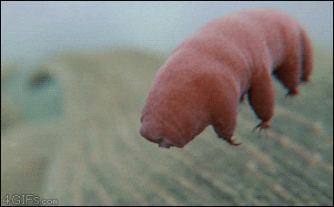 lboFmA8xFIaAg.gif