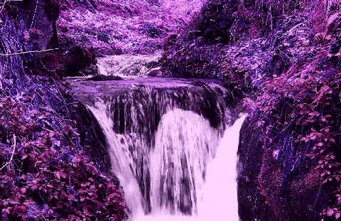 Flamme Violette Action dans Flamme Violette Action ltxll0di1hQje