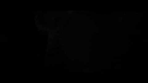 http://i.giphy.com/lzN4LV6QwW7de.gif