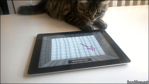 Code source n°249