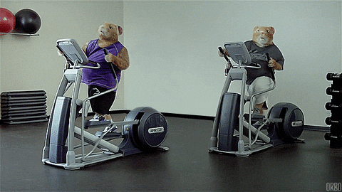 [Image: tj7SP54rLzu2k.gif]