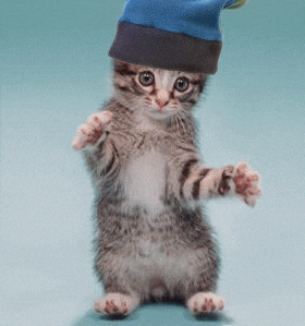 hat dance