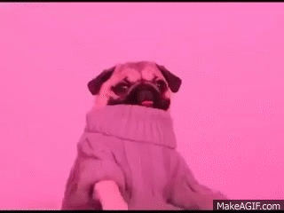 http://i.giphy.com/vbICyX2UatiBa.gif
