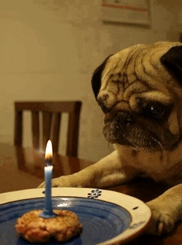 http://i.giphy.com/xAFPuHVjmsBmU.gif