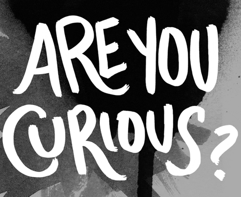 Are you curious?