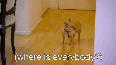 xTiTnDx2ZKTzqBWm4M.gif