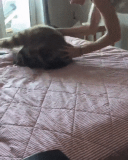 xUPGcAw0Gg4YoeZOlG.gif