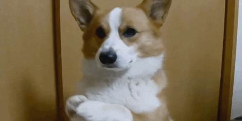 ybEXZcycd789q.gif