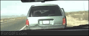 12RiTQyHM23eco.gif