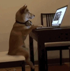 https://i.giphy.com/1kkxWqT5nvLXupUTwK.webp