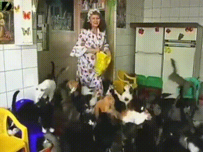 Animated GIF  - Find & Share on GIPHY 