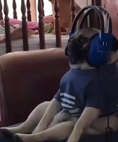 3lxD1O74siiz5FvrJs.webp