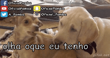 3og0ICbWXsoCL9cewU.gif