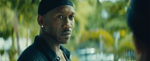 https://i.giphy.com/3oz8xEDhDBLiXwZILS.webp