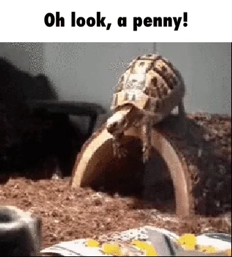 spacer.png