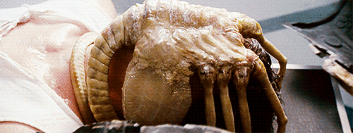 Movies GIF - Find & Share on GIPHY
