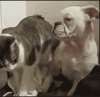 7t9oYBJWNZug0.gif
