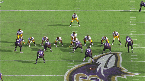 Animated GIF  - Find & Share on GIPHY 