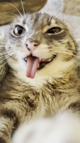 6 7