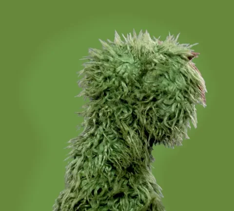 [Image: BKnKdJjiJrAGSTGzgM.webp]