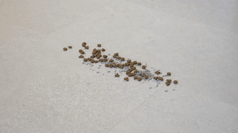 Narwal 雲鯨 Freo Z10 掃拖機器人 15000Pa 鯨旋動力吸塵系統