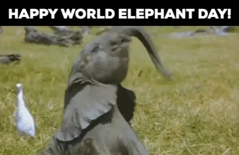 IdlkhIb2QYCGTSL1Wi.webp