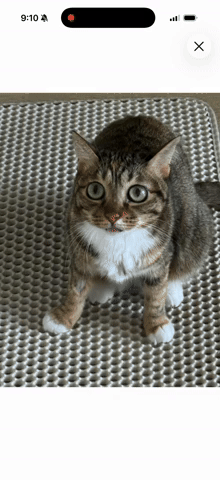 iOS 26 iPhone 3D 照片功能 輕輕晃動手機