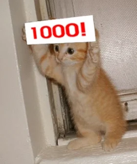 KhIpLH0WogmPe.webp