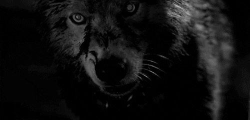 Black And White GIF - Find & Share on GIPHY