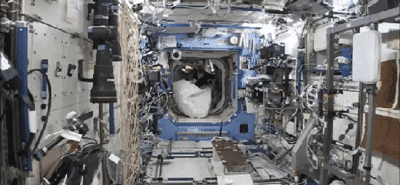 http://i.giphy.com/MLefrzrAubOAU.gif