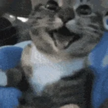 [Obrazek: Ncn7y0xz7ZfAxEcEml.webp]