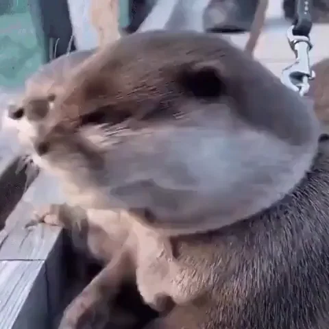 QLBAgFEL3U4OYTKdZv.webp