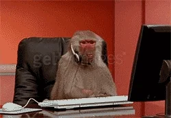 T8Dhl1KPyzRqU.webp