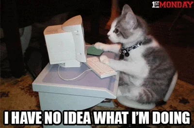 Cat at computer