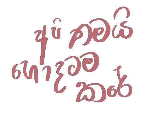 ZN7usNzGs1Z5KLEjBo.webp