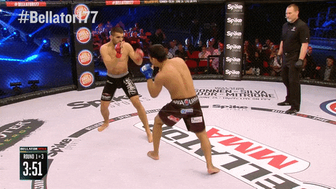 Bellator GIF - Find & Share on GIPHY