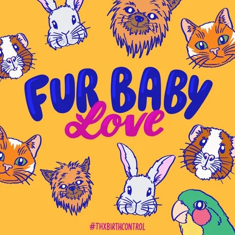 dbhGuJDSgNfjv1pZ6C.webp