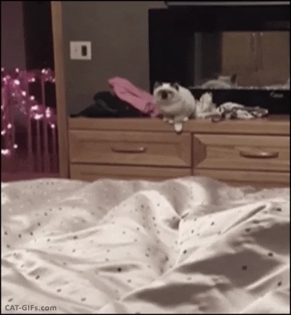 eroScTnthmrn2.webp