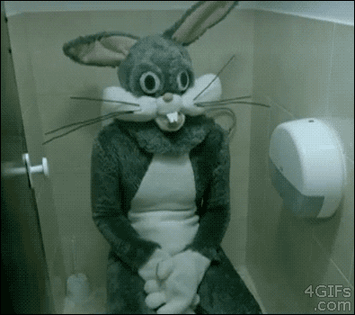 g0i8SDFjNTd0k.gif