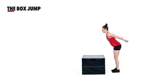 Box / Vertical Jumps demonstration