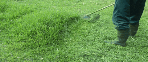 hBtT2enkmRuY8.gif