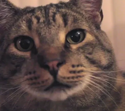 hrGLLFPzISpaGYAMzY.webp