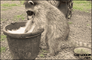 iiTjPqADIf8yY.gif