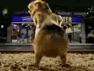 kL1KAdQYmKXle.webp